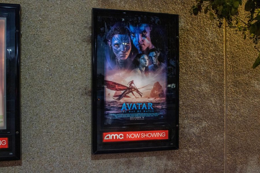 avatar movie poster-hailey tesser