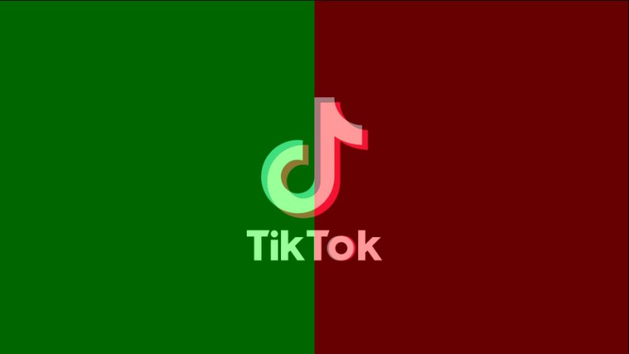 Are The Reasons For a Tiktok Ban Justifiable?