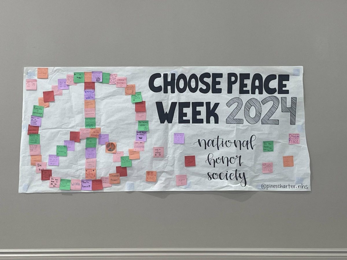 A week of joy: NHS and NAHS collaborate for Peace Week 2024