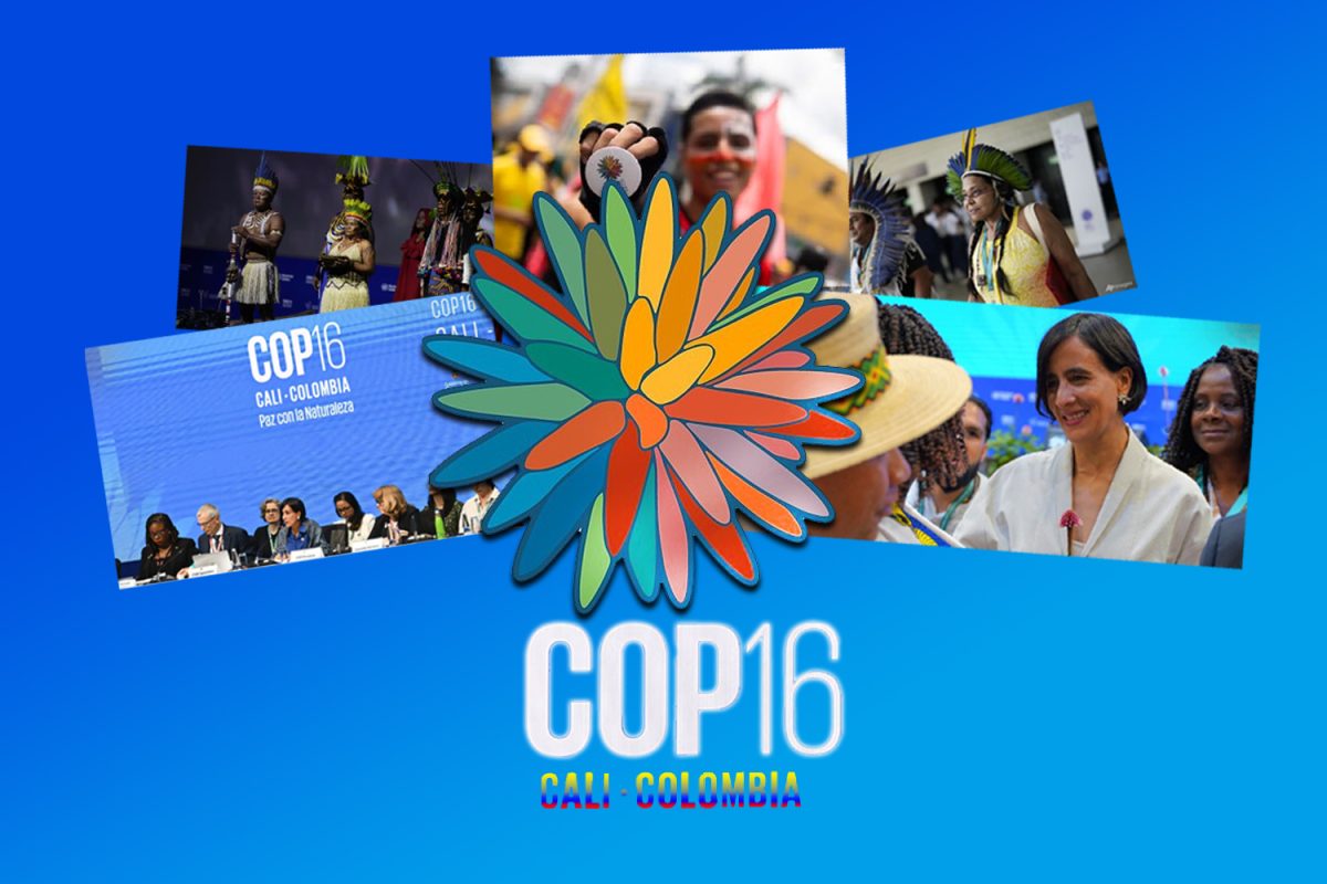 COP16