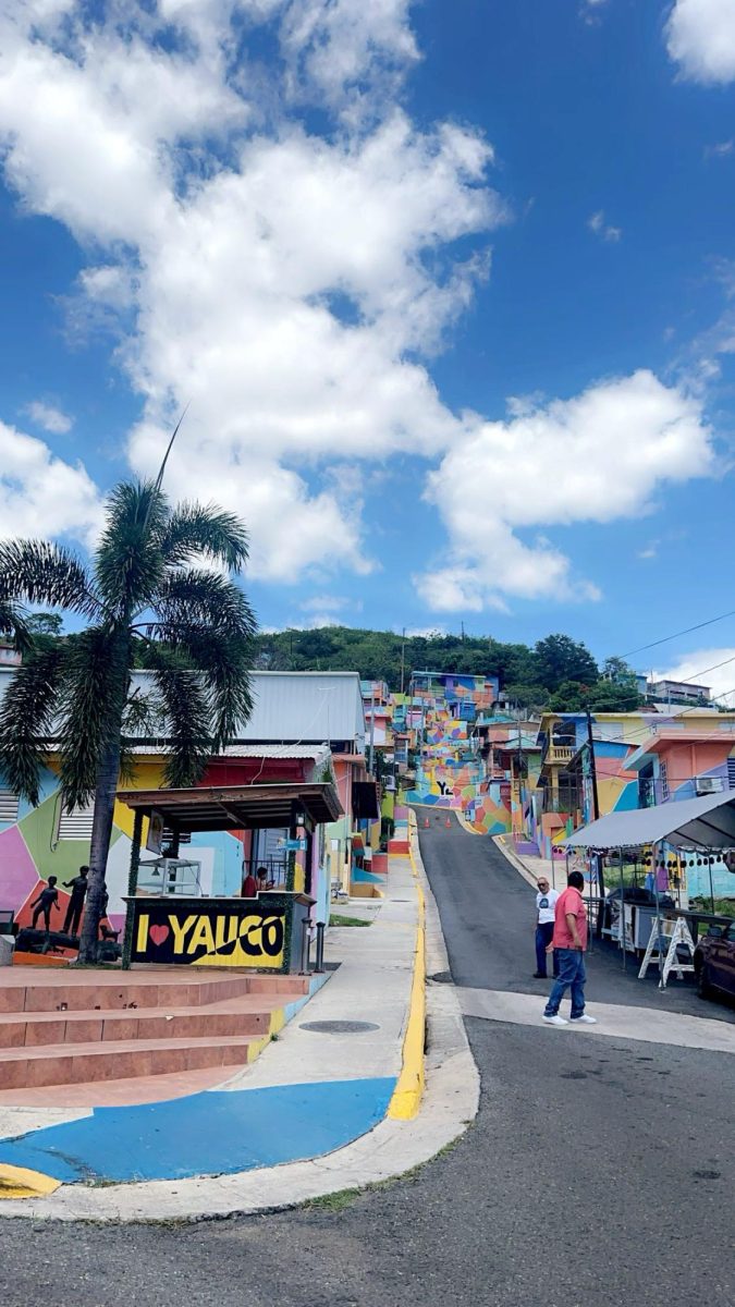 Finding Myself in Puerto Rico: A Journey Home