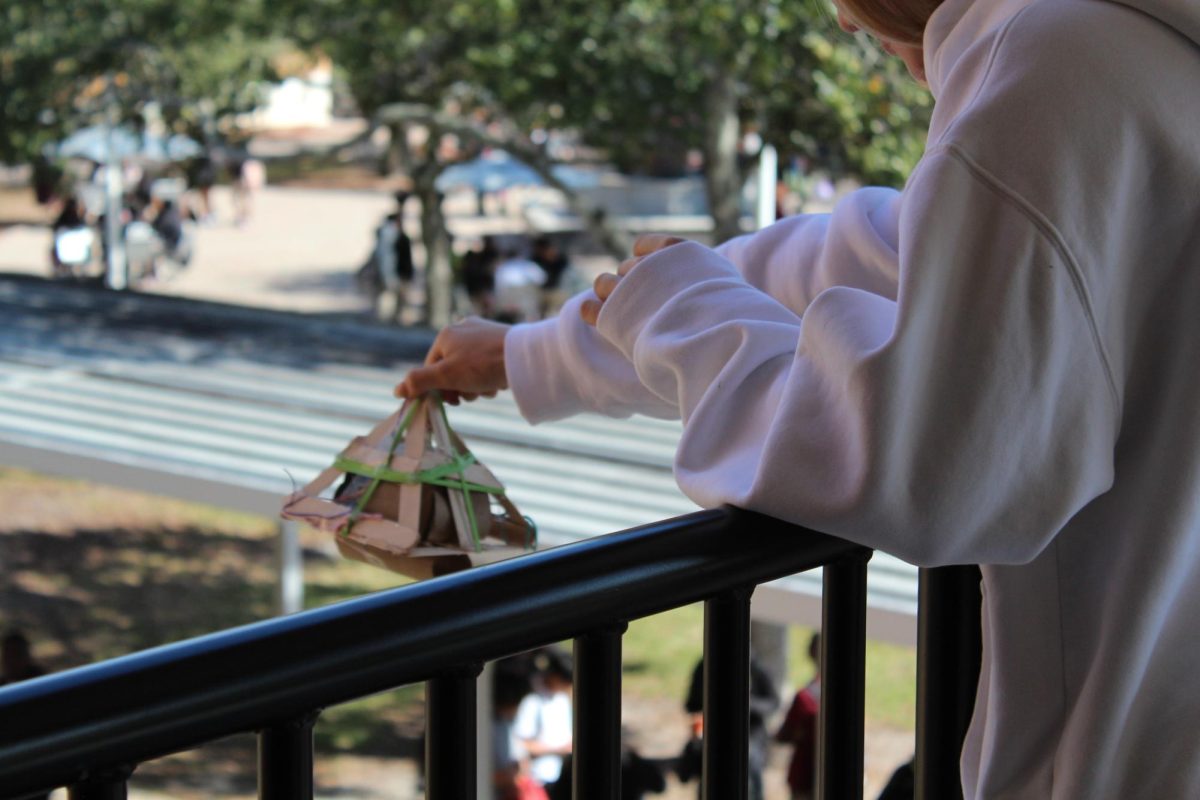 Defying gravity: Physics class egg drop challenge