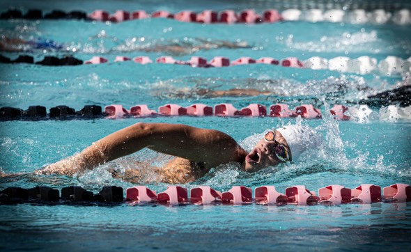 PPCHS swim team dives into preseason