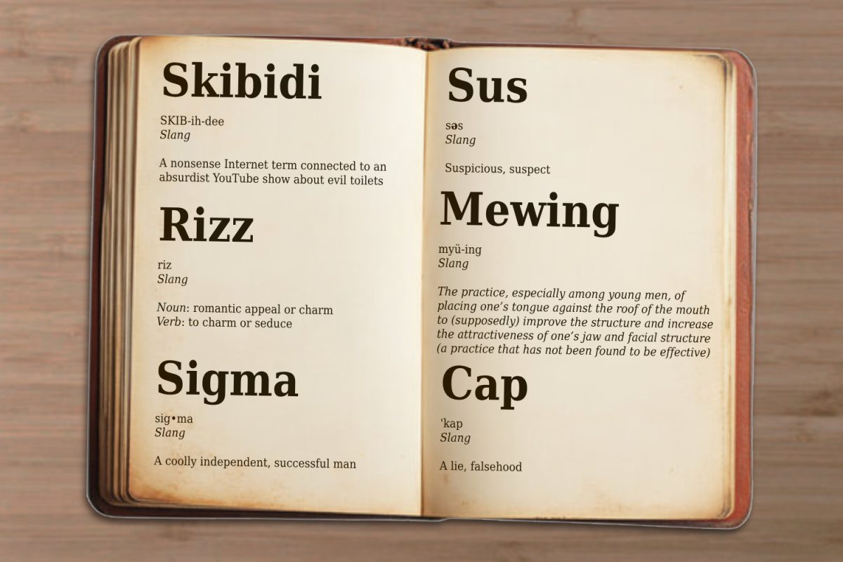 Is Cambridge “delulu?”: New brainrot words added to dictionary