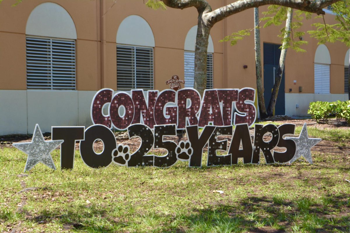 Copy of DSC_0282