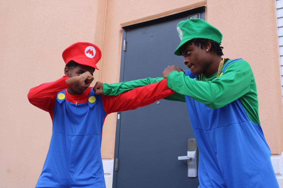 Brothers Mario and Luigi get ready to fight. Maybe this is alternate universe Mario and Luigi where they don't like each other. What are they fighting about?
