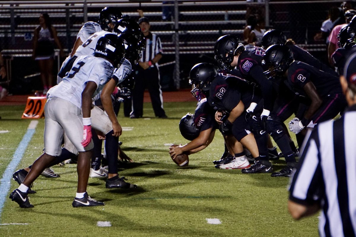 The Claw: Week 10