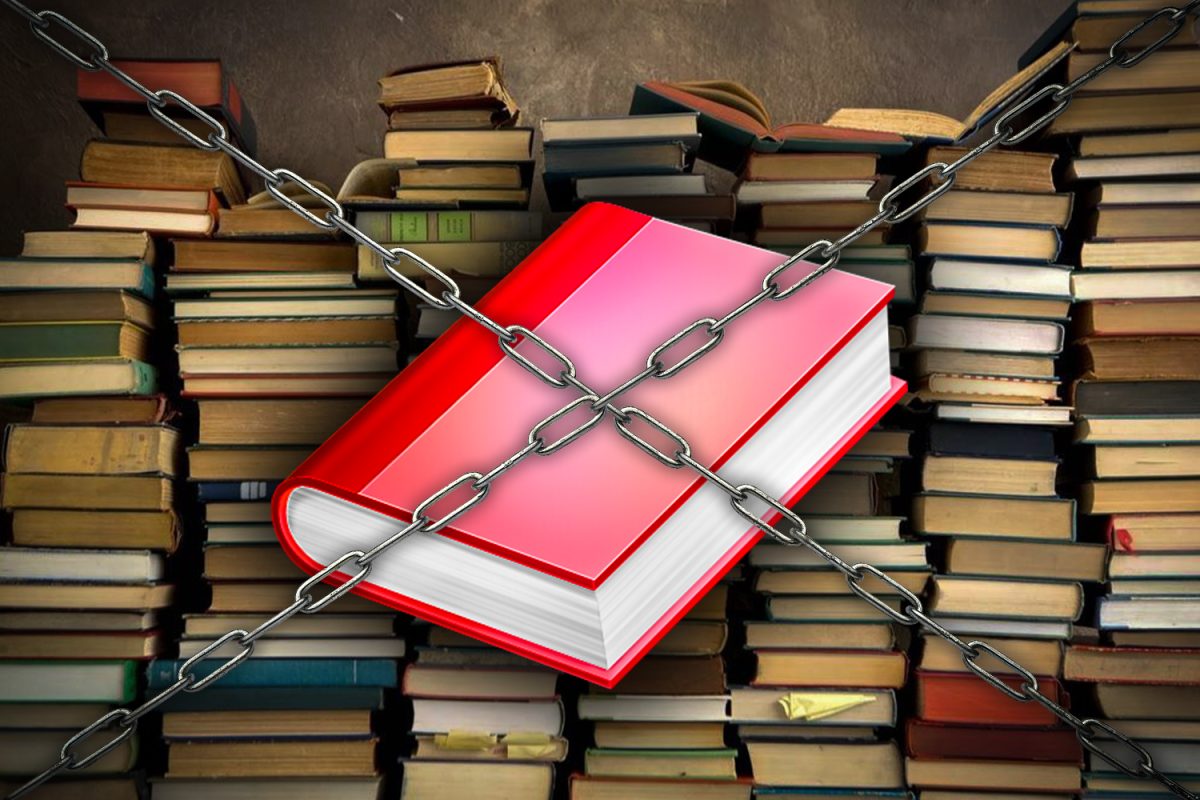 A background of books displaying the idea of multiple books being removed or banned due to its diversity. This creates the overall image of limiting creativity and questioning whether their banning plausible.