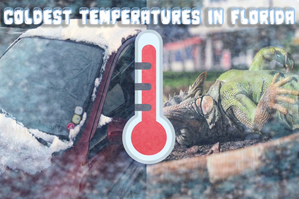 Coldest Temps in Florida
