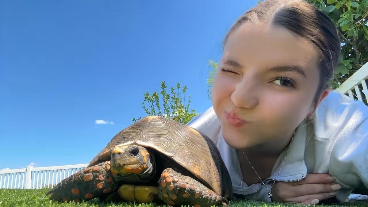 Sophomore Ella Hernandez lies down in the grass with her pet tortoise, Dots. Dots, a red-footed tortoise, has a favorite treat that Hernandez often gives him: a hibiscus flower.