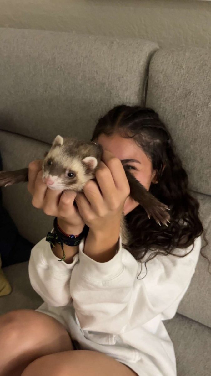 Sophomore Sasha Gonzalez holds up her pet ferret, Ekko. Ekko, a member of Gonzalez's home for just over a year, is endlessly playful.