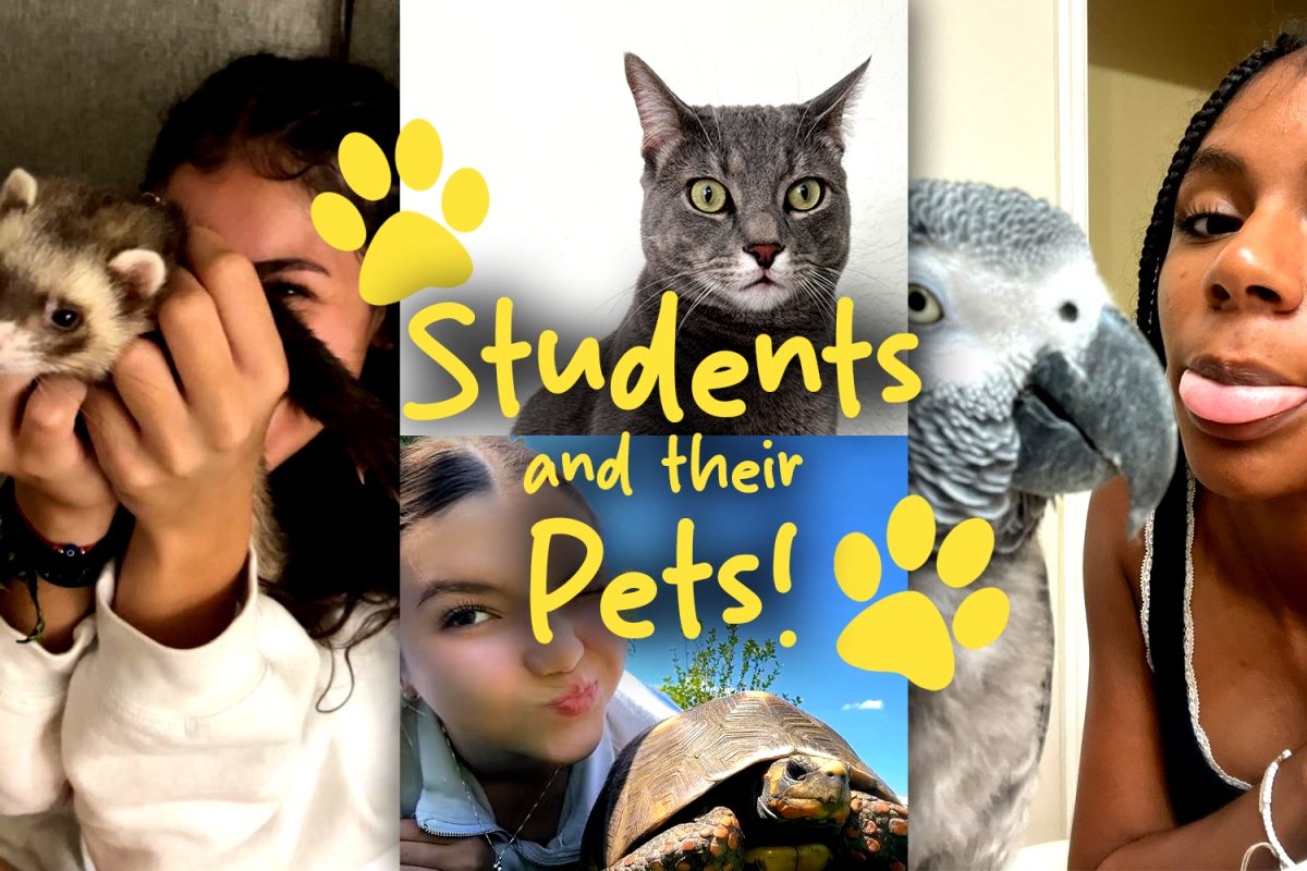 More than just pets: Pines Charter's students bond with theirs