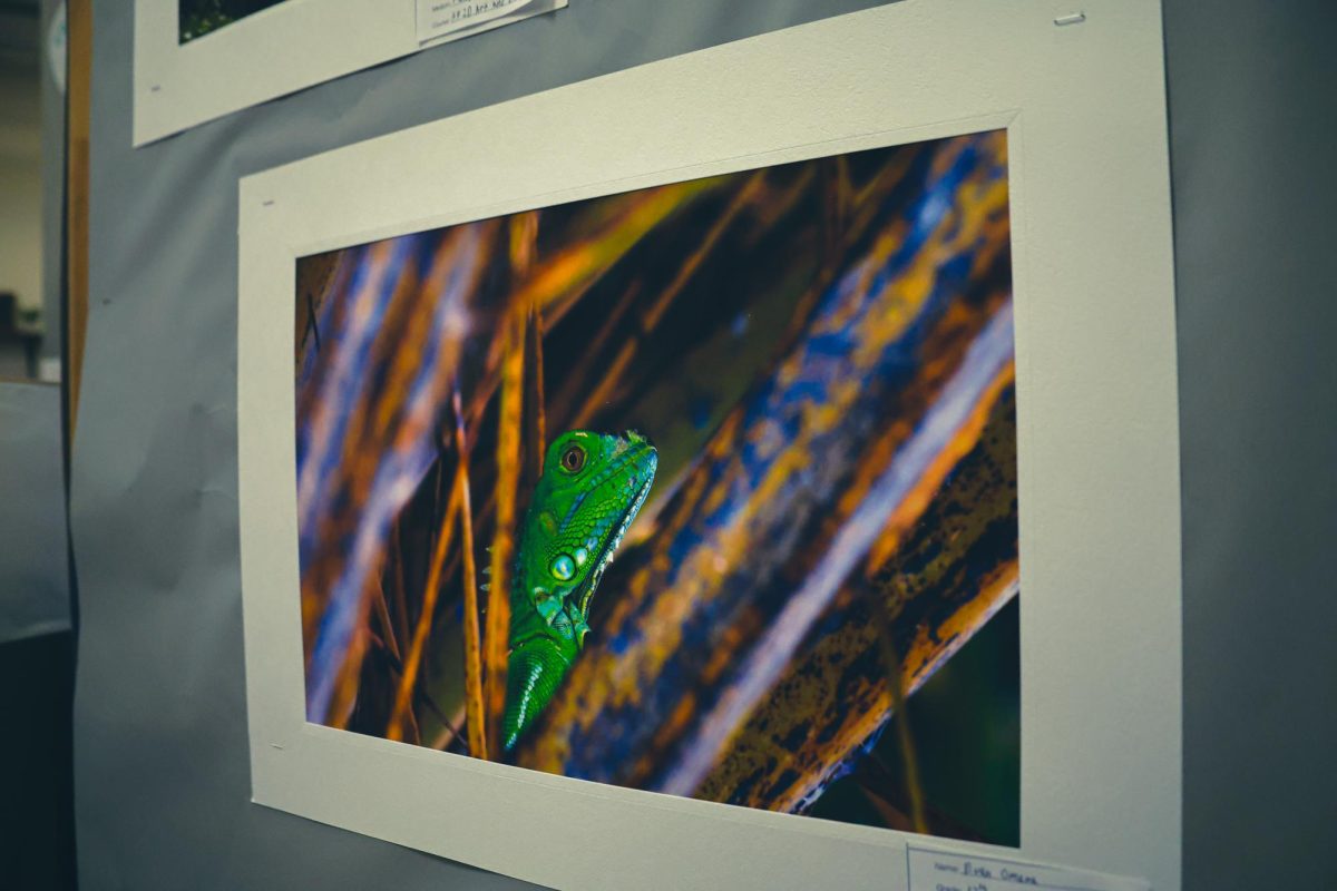 Photographer Evan Omana displays a picture of a lizard in nature. This marks the senior's last Art Show, and he opted for nature-focused photos to showcase his talent.
