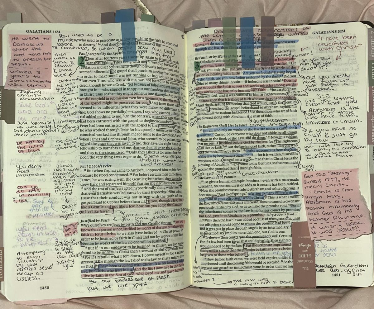 Galatians Chapters 2-3 where she learns about things like deception and also connects things to the beginning of the Bible, and makes this one of her most exciting reads.