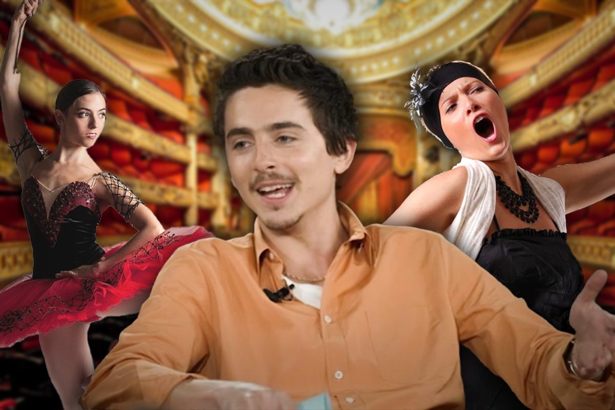 Timothée Chalamet and the Question of “Dying” Arts