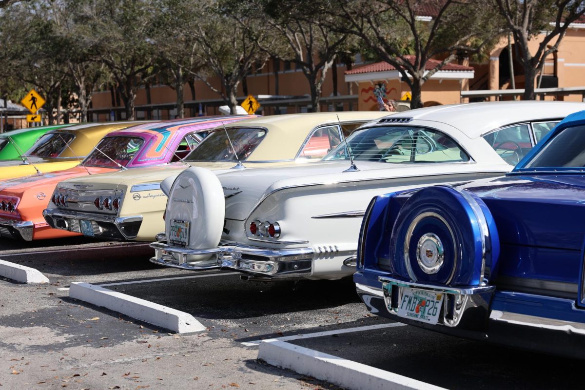 Various cars beside each other in the PPCHS teacher parking lot. Displaying the uniqueness of each and every car.