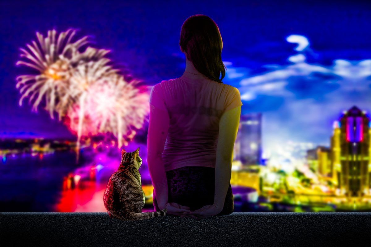 The speaker and her cat watch the Fourth of July fireworks, together in the pet's final moments.